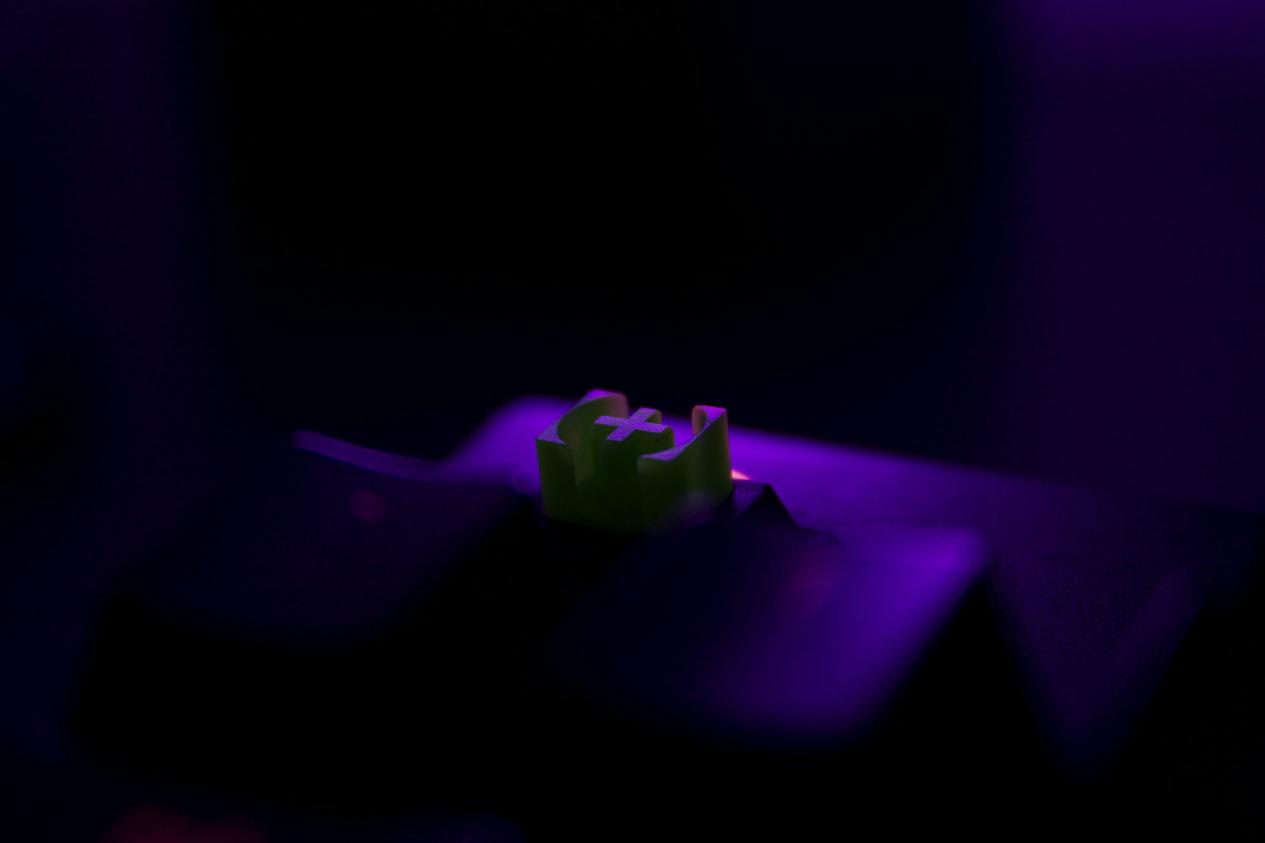 IMG_256